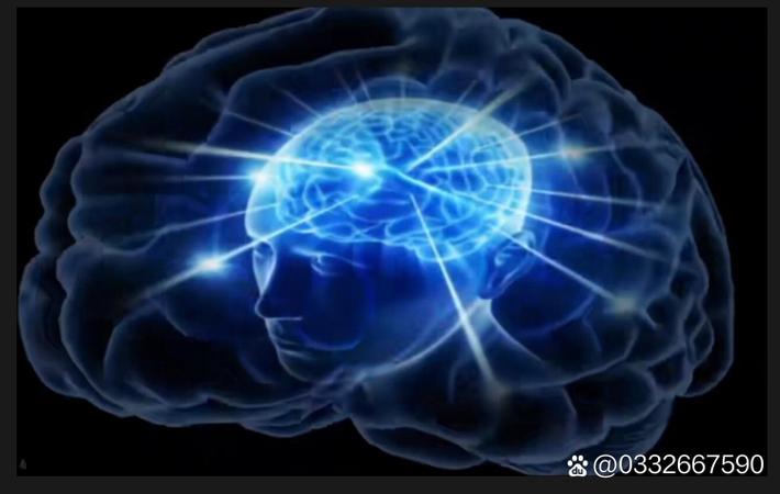 某千万网红被曝学历造假,清华毕业实为三本